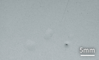 他社 外観検査用照明 機能性フィルム